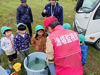 稚鮎放流2