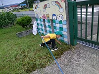 虫探しをしている