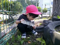 虫を探している子ども