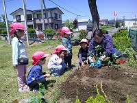 野菜を植えている子どもたち