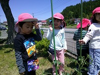 野菜を見ている子どもたち
