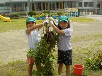 じゃがいもをもっているこどもたち