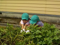 つるをひっぱるこども