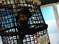 子ども館のネットの遊具で遊ぶすみれ組男の子