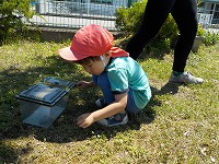 虫探し