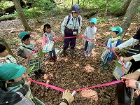 大きな幹の再現