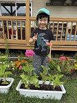 花と写真4