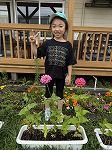 花と写真1