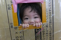 小窓から顔を出している