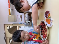 さくらんぼに興味をもっているひまわり組