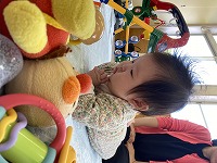 玩具を見ている