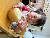 玉ねぎを触っている女の子
