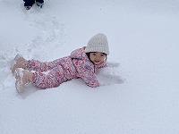 雪に転がっている