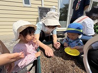 種を植えている先生と子ども達