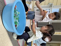 氷に触れる子ども