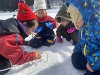 小さな虫を観察している子どもたち