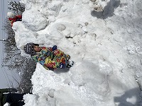 雪山から自分のお尻で滑る子ども