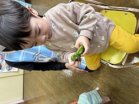 ピーマンを触っている子ども