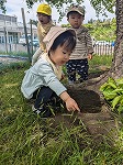 虫探しを楽しんでいる子ども