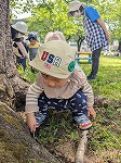 虫探しをしている子ども