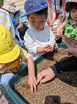 種を植えている男の子