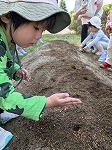 種を植えている男の子