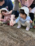 種を植えている子どもたち
