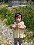 綿毛をふ～と飛ばしている子ども