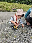 石を拾っている子ども