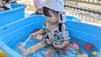 タライの中で魚のおもちゃで遊びます