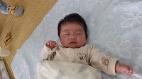 ねんね