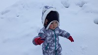 雪の上を歩いている