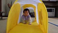 トンネルに入って遊んでいる