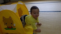 トンれるに入って遊んでいる