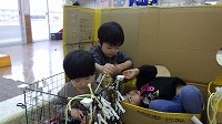 段ボールに入って遊んでいる子ども達