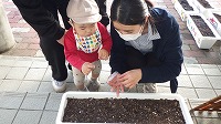 男の子、お母さんと種をまいている