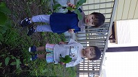 野菜の収穫をする男の子と女の子