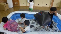 室内でプールで遊んでいる