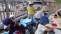 寒天ゼリーつくったよ