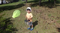 虫取りする男の子２