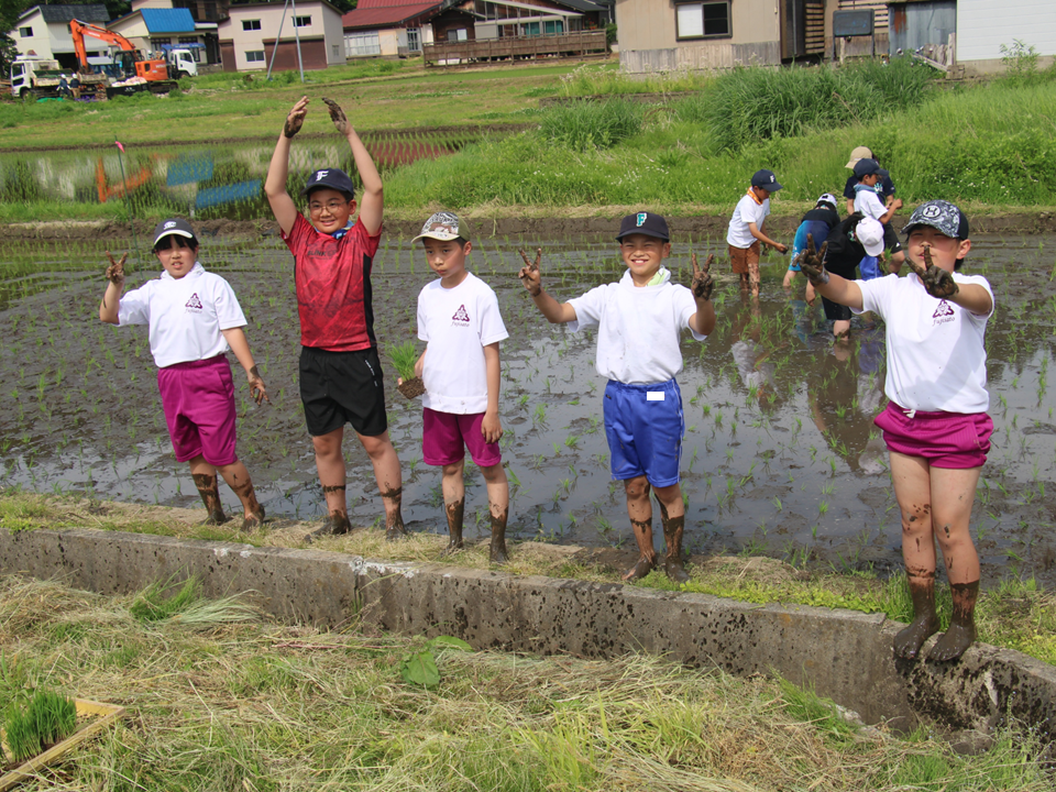 田植え