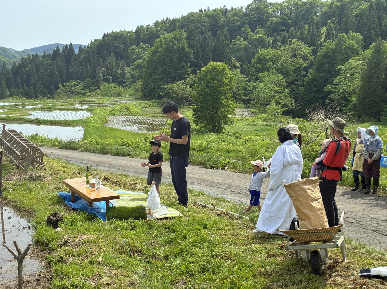 横倉田植え