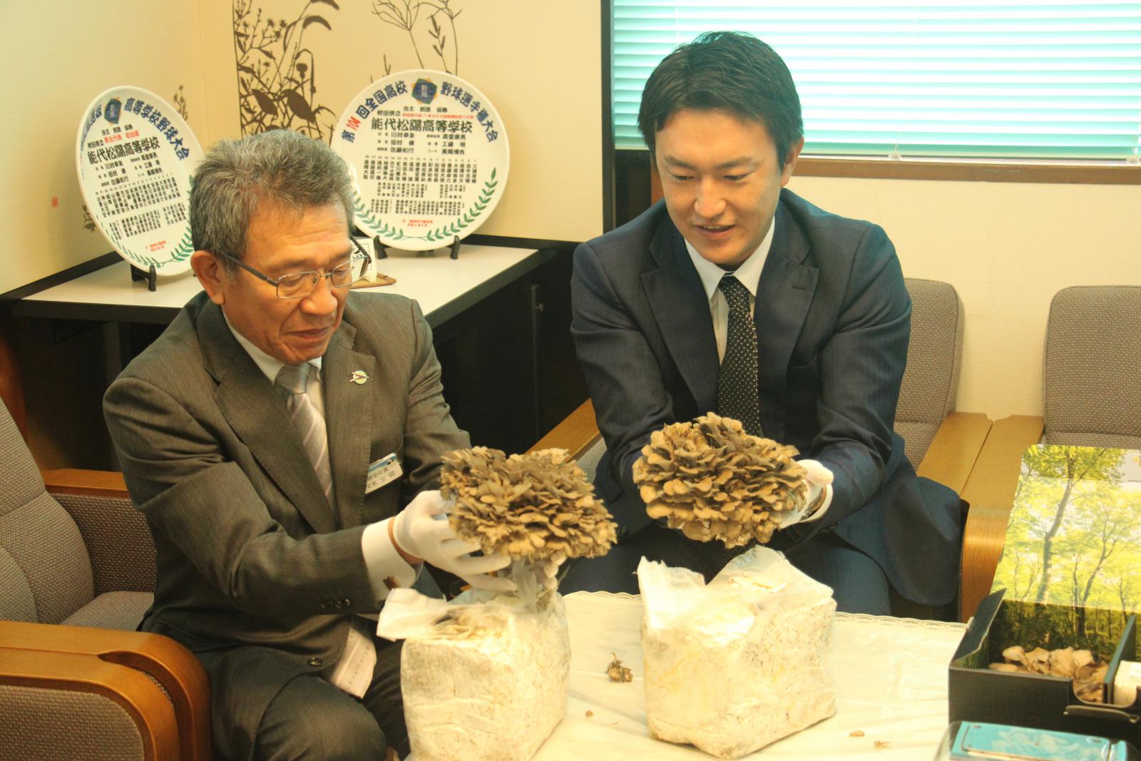 白神舞茸JAPAN