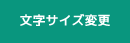 文字サイズ変更