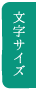 文字サイズ