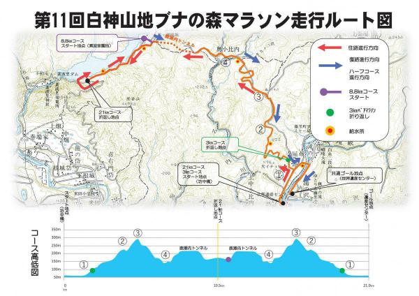 コース　標高差