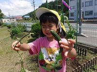 収穫5
