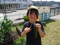 収穫3