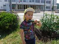 収穫4
