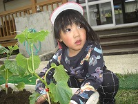 こんな感じでいいか聞いています